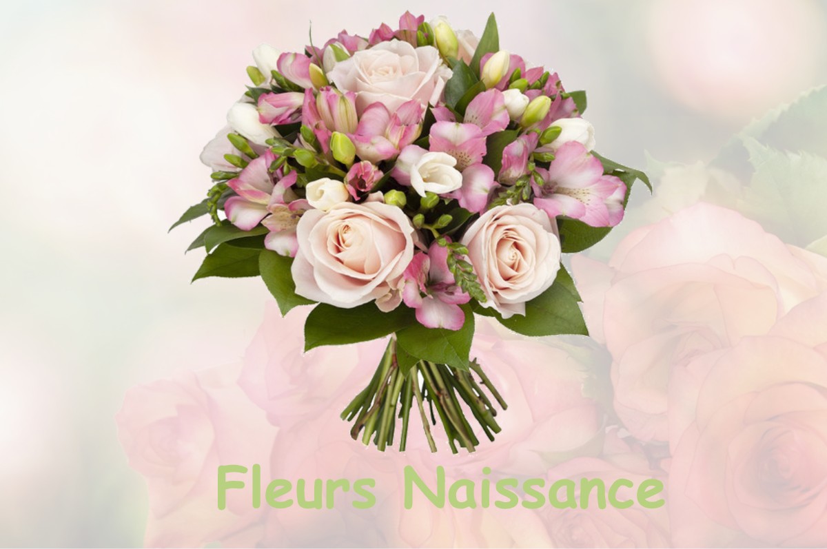 fleurs naissance FRESNAY-LE-GILMERT
